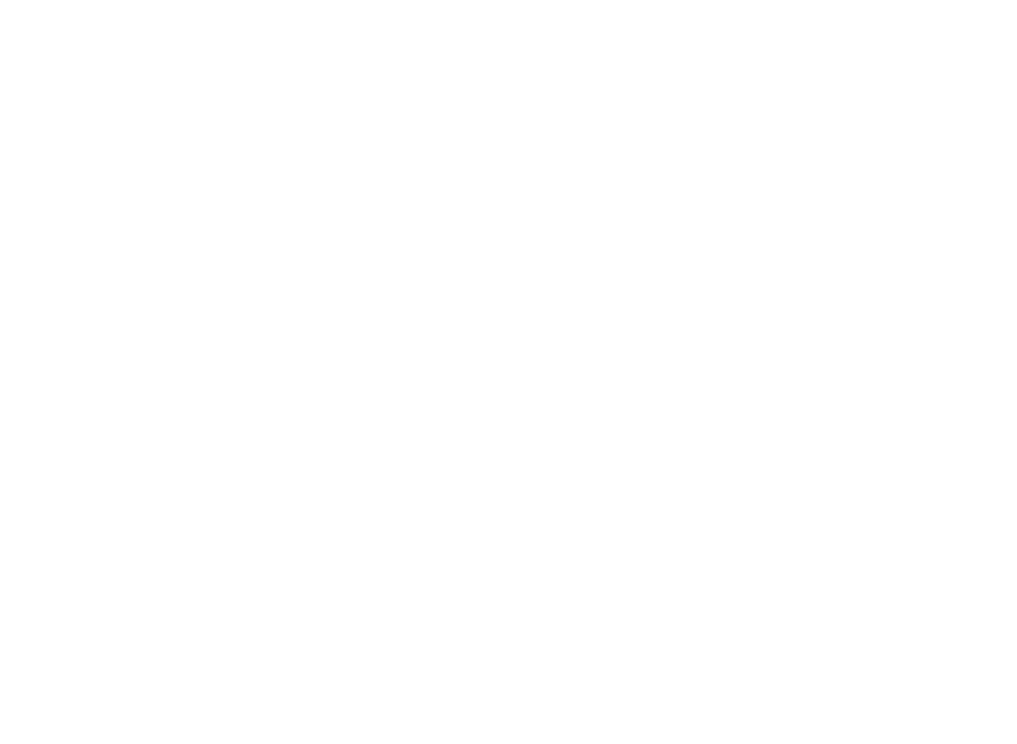 Leadserve